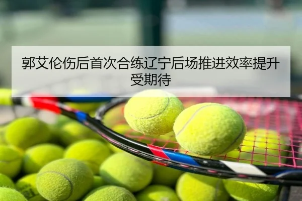 郭艾伦伤后首次合练辽宁后场推进效率提升受期待